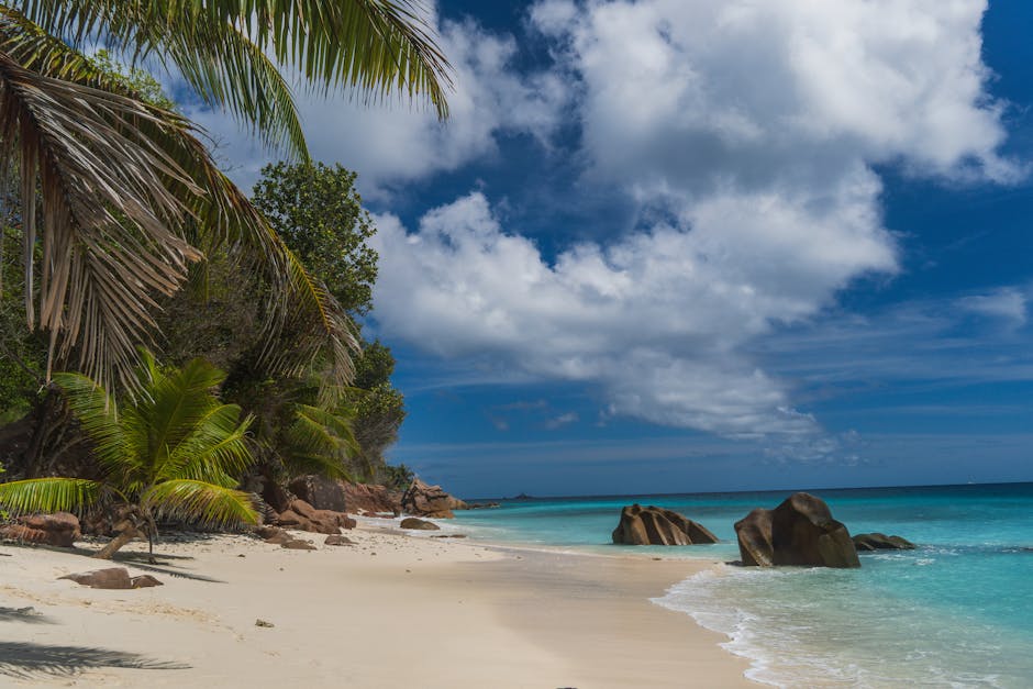 Tropical paradise beach with palm trees and granite rocks in Seychelles under a blue sky.