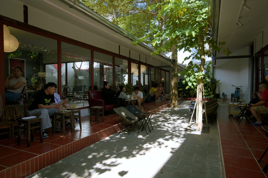 Cafe surrounded by trees with people enjoying drinks and conversations outdoors.