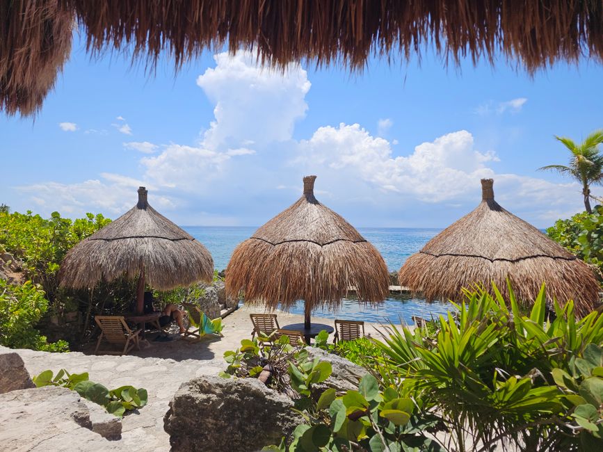 Scenic view of tropical beach resort with thatched palapa umbrellas and ocean backdrop.
