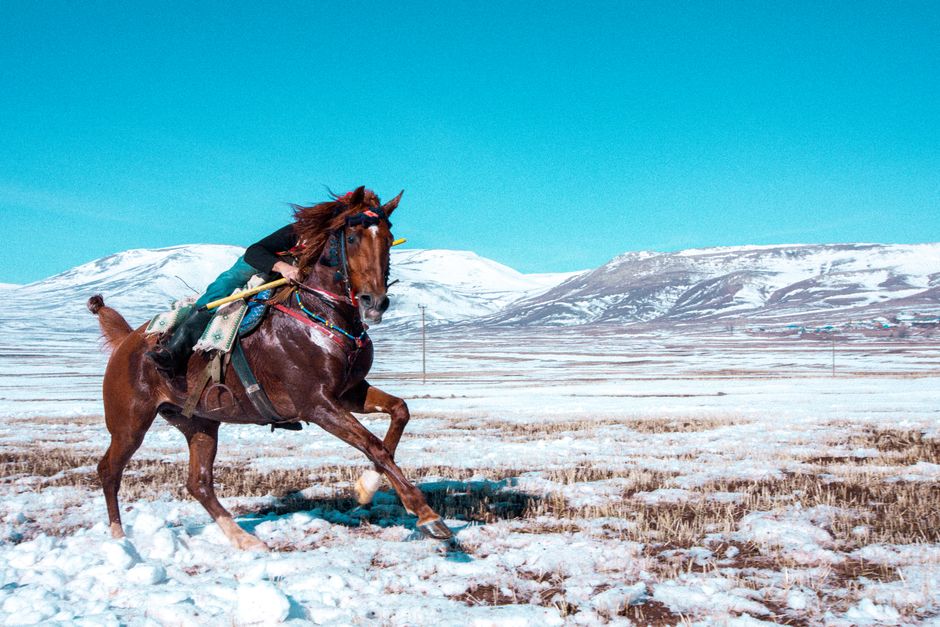 A rider on horseback in the snowy landscape of Kars, Türkiye.