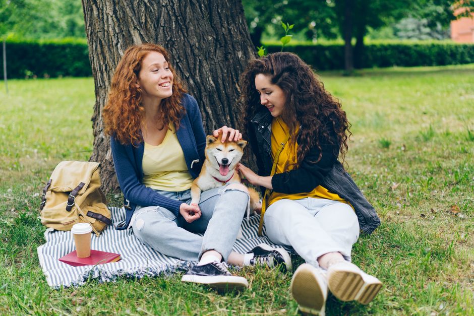 Two women sitting on a picnic blanket, patting a Shiba Inu in a park.