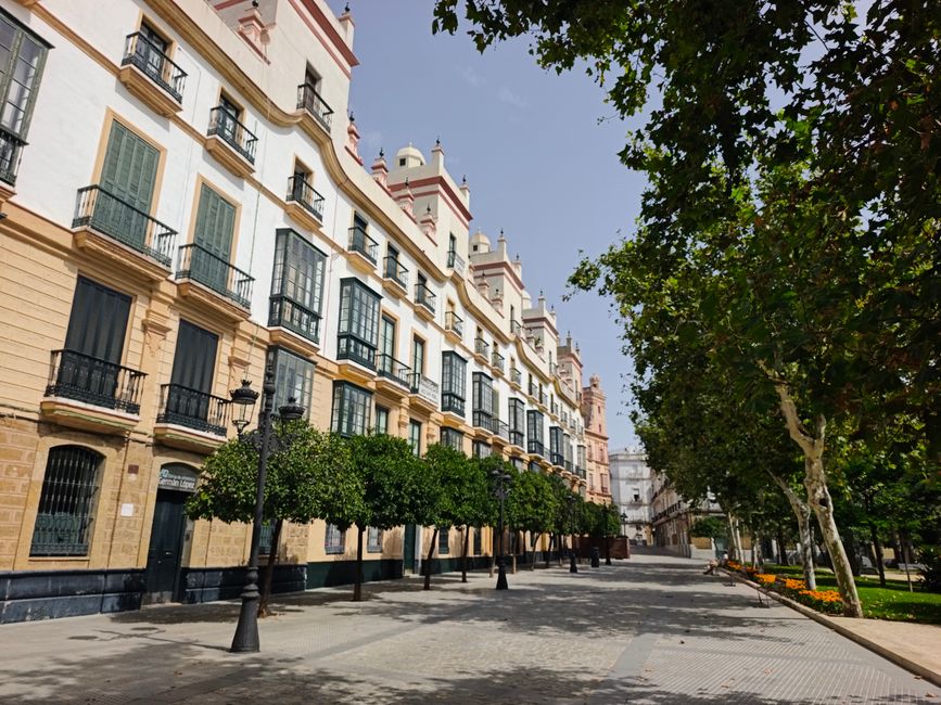 Charming Cádiz street with historic architecture and trees lining the path, creating a picturesque view.