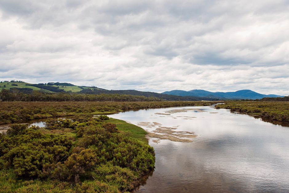 Tranquil river view with lush greenery and distant rolling hills under a cloudy sky.